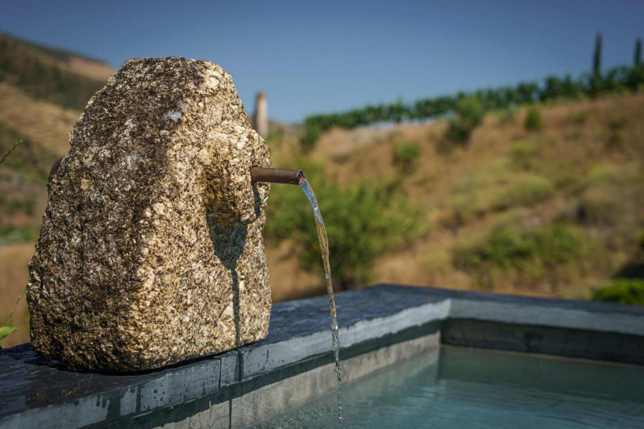 Casa Do Rio - Douro Wine Hotel By Vallado Віла-Нова-де-Фош-Коа Екстер'єр фото