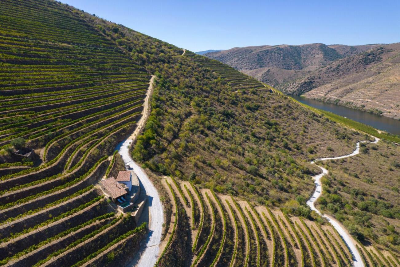 Casa Do Rio - Douro Wine Hotel By Vallado Віла-Нова-де-Фош-Коа Екстер'єр фото
