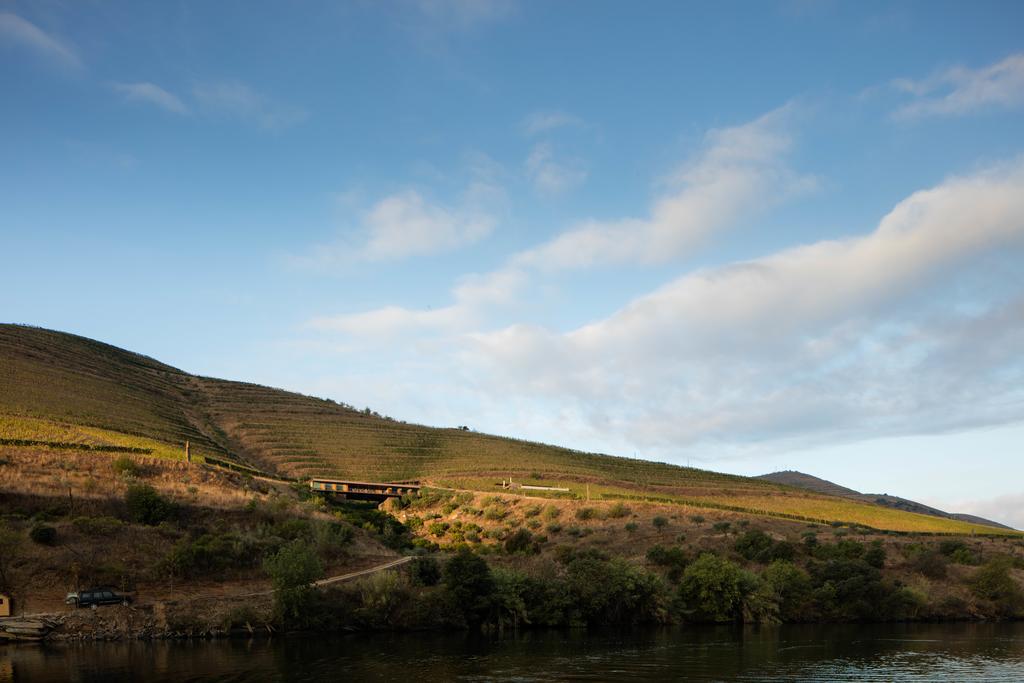 Casa Do Rio - Douro Wine Hotel By Vallado Віла-Нова-де-Фош-Коа Екстер'єр фото