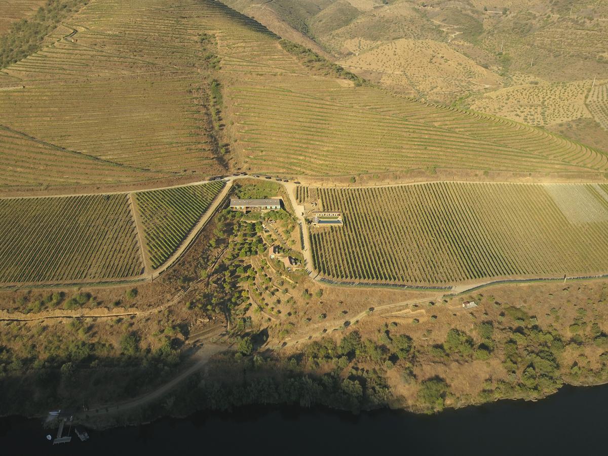 Casa Do Rio - Douro Wine Hotel By Vallado Віла-Нова-де-Фош-Коа Екстер'єр фото