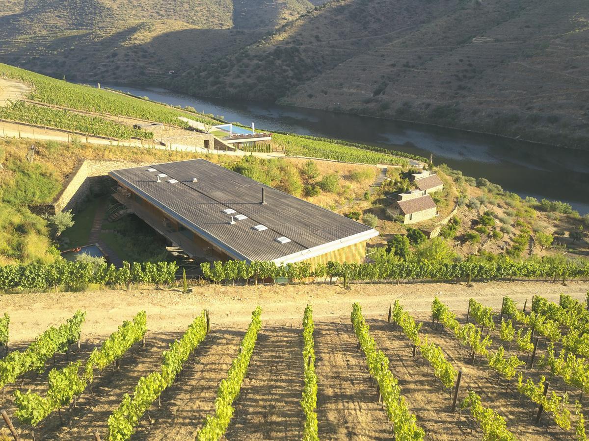 Casa Do Rio - Douro Wine Hotel By Vallado Віла-Нова-де-Фош-Коа Екстер'єр фото