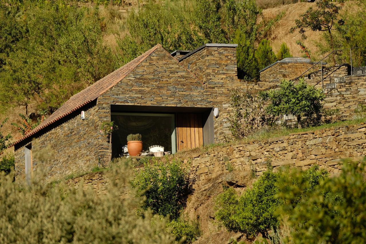 Casa Do Rio - Douro Wine Hotel By Vallado Віла-Нова-де-Фош-Коа Екстер'єр фото